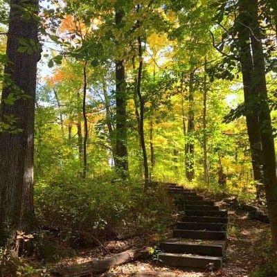 Bull's Run Aboretum & Nature Preserve