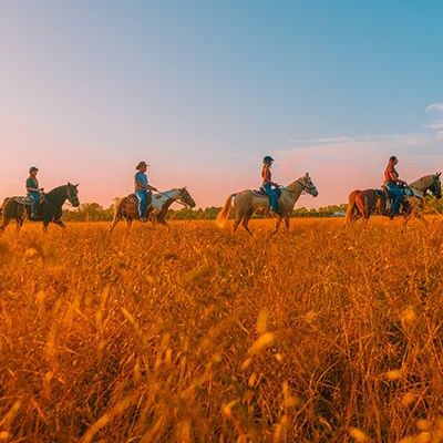 Nation Road Horse Rental, Oxford Ohio