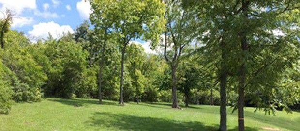 Community Park in Monroe