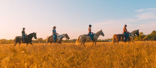 Guided Horseback Riding Lesson