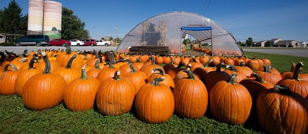 Barn-N-Bunk Fall Festival