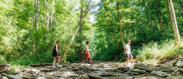 Rentschler Forest MetroPark